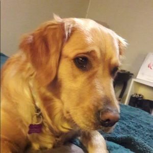 Meet your Posher, Monica